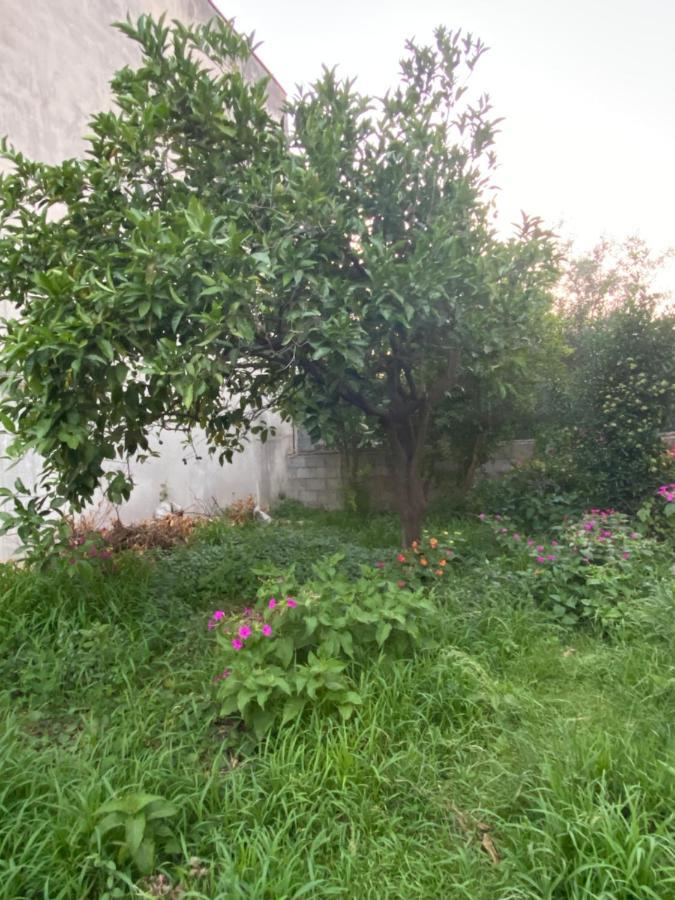 Bed and Breakfast L'Incognita San Nicolo d'Arcidano Exterior foto